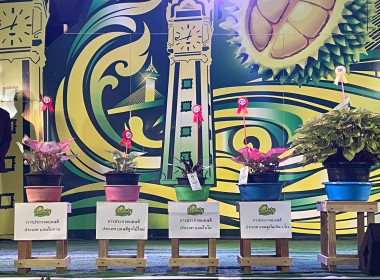 เข้าร่วมงานวัฒนธรรมสองฝั่งเจ้าพระยามหาเจษฎาบดินทร์ ประจำปี ... พารามิเตอร์รูปภาพ 1