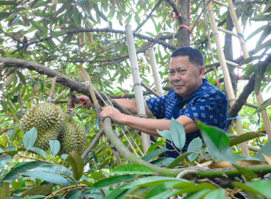 นายประยูร อินสกุล ปลัดกระทรวงเกษตรและสหกรณ์ ... พารามิเตอร์รูปภาพ 4