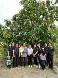 เข้าร่วมตรวจประเมินแปลงผู้ขออนุญาตใช้ตราสัญลักษณ์สิ่งบ่งชี้ทางภูมิศาสตร์ (GI) จังหวัดนนทบุรี ... พารามิเตอร์รูปภาพ 1