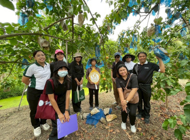 เข้าร่วมตรวจประเมินแปลงผู้ขออนุญาตใช้ตราสัญลักษณ์สิ่งบ่งชี้ทางภูมิศาสตร์ (GI) จังหวัดนนทบุรี ... พารามิเตอร์รูปภาพ 2
