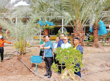 กิจกรรมจิตอาสาพัฒนาคลองบางตลาด ... พารามิเตอร์รูปภาพ 6