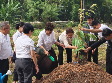 สหกรณ์จังหวัดนนทบุรี ร่วมลงพื้นที่ปลูกทุเรียน “หมอนทอง” ... พารามิเตอร์รูปภาพ 6