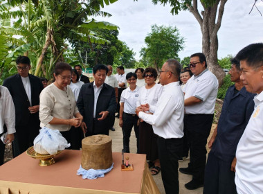 สหกรณ์จังหวัดนนทบุรี ร่วมลงพื้นที่ปลูกทุเรียน “หมอนทอง” ... พารามิเตอร์รูปภาพ 4