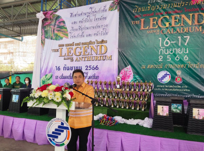 งานสืบสานตำนานบอนสีไทรน้อย ครั้งที่ 2 พารามิเตอร์รูปภาพ 1