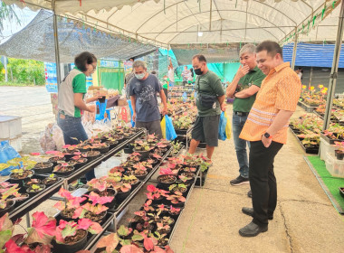 งานสืบสานตำนานบอนสีไทรน้อย ครั้งที่ 2 พารามิเตอร์รูปภาพ 4