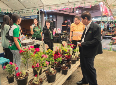 งานสืบสานตำนานบอนสีไทรน้อย ครั้งที่ 2 พารามิเตอร์รูปภาพ 5