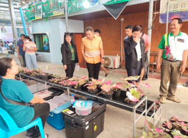 งานสืบสานตำนานบอนสีไทรน้อย ครั้งที่ 2 พารามิเตอร์รูปภาพ 6