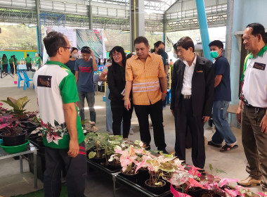 งานสืบสานตำนานบอนสีไทรน้อย ครั้งที่ 2 พารามิเตอร์รูปภาพ 7