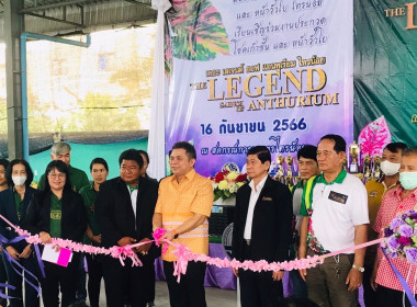 งานสืบสานตำนานบอนสีไทรน้อย ครั้งที่ 2 พารามิเตอร์รูปภาพ 2