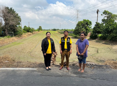 แนะนำ ส่งเสริม ... พารามิเตอร์รูปภาพ 2