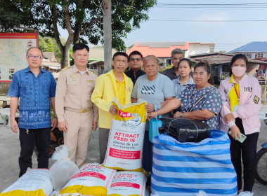 เข้าแนะนำ ส่งเสริม ... พารามิเตอร์รูปภาพ 3