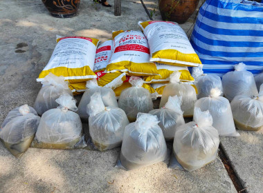 เข้าแนะนำ ส่งเสริม ... พารามิเตอร์รูปภาพ 4