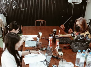 เข้าตรวจสอบกิจการและฐานะการเงินของ ... พารามิเตอร์รูปภาพ 1