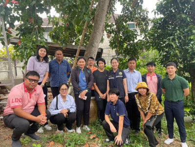 เข้าร่วมการตรวจประเมินแปลงกระท้อนห่อบางกร่าง ... พารามิเตอร์รูปภาพ 1