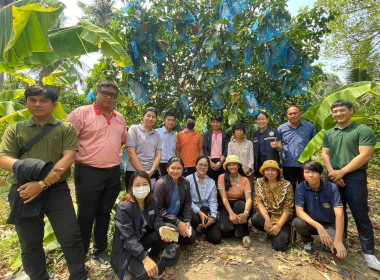 เข้าร่วมการตรวจประเมินแปลงกระท้อนห่อบางกร่าง ... พารามิเตอร์รูปภาพ 2