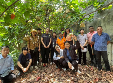 เข้าร่วมการตรวจประเมินแปลงกระท้อนห่อบางกร่าง ... พารามิเตอร์รูปภาพ 1