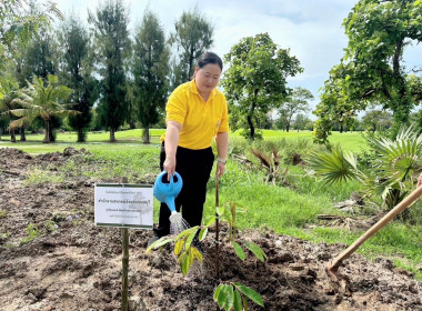 เข้าร่วมกิจกรรมวันต้นไม้ประจำปีของชาติ พ.ศ. 2567 ... พารามิเตอร์รูปภาพ 4