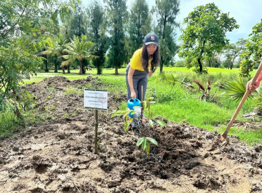 เข้าร่วมกิจกรรมวันต้นไม้ประจำปีของชาติ พ.ศ. 2567 ... พารามิเตอร์รูปภาพ 5