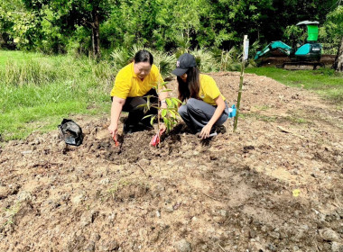 เข้าร่วมกิจกรรมวันต้นไม้ประจำปีของชาติ พ.ศ. 2567 ... พารามิเตอร์รูปภาพ 3