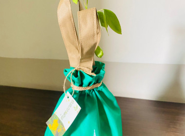 เข้าร่วมพิธีมอบกล้าไม้ ภายใต้ โครงการ 72 ล้านต้น ... พารามิเตอร์รูปภาพ 5