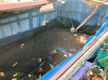 ติดตามผลการดำเนินงานโครงการส่งเสริมและพัฒนาอาชีพเพื่อแก้ไขปัญหาที่ดินทำกินของเกษตรกรภายใต้โครงการจัดที่ดินทำกินให้ชุมชนตามนโยบายรัฐบาลและติดตามการส่งเสริมให้เกษตรกรที่เข้าร่วมโครงการเลี้ยงปลาดุกในกระชัง ... พารามิเตอร์รูปภาพ 3