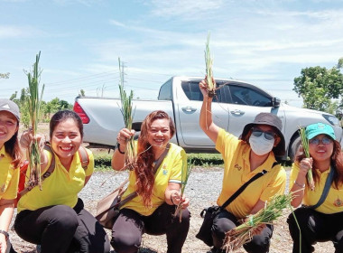 เข้าร่วมโครงการ "รณรงค์และส่งเสริมการปลูกหญ้าแฝก ... พารามิเตอร์รูปภาพ 4